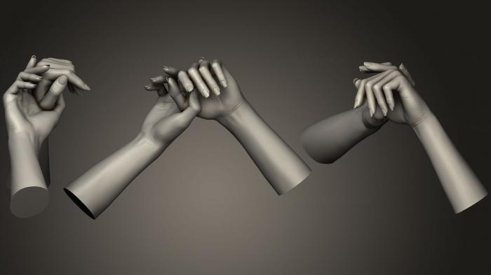 نموذج ثلاثي الأبعاد لآلة CNC تشريح الهياكل العظمية والجماجم أيدي الإناث 3